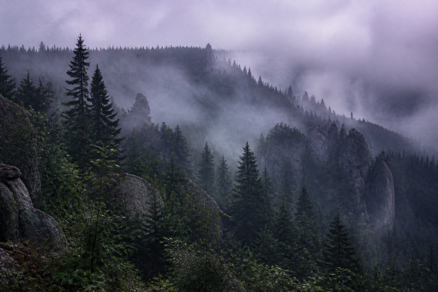 Tiefe Wolken über dunklen Fichtenhängen und Granit am Harzrand